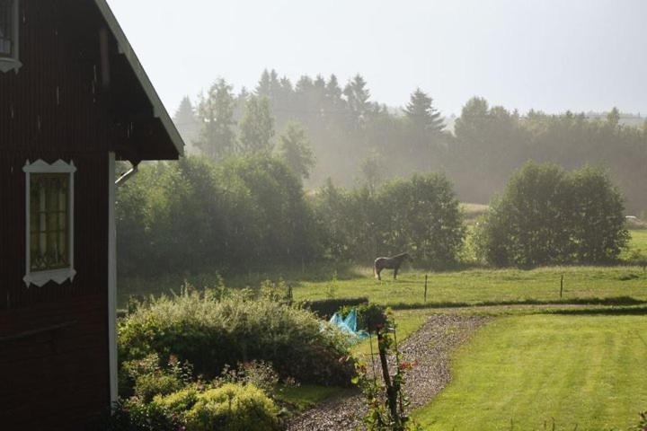 Bjorka Storgard B&B Мутала Екстер'єр фото